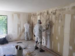 Best Mold Odor Removal Services  in Nicollet, MN